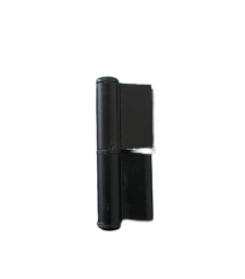 Bisagra Chica (P75)